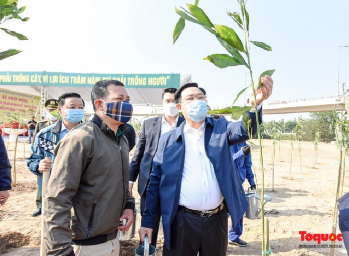 Bí thư Thành ủy Vương Đình Huệ đã kiểm tra từng gốc cây được trồng.